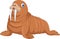 Illustration cute and adorable walrus cartoon