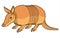 Illustration of a cute armadillo