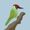 An illustration of a cute green woodpecker