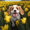 illustration of cute puppy dog ??among daffodils, flower field, created with artificial intelligence