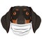 Illustration Dachshund dog with respirator