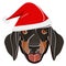 Illustration dachshund with red Santa hat