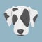 Illustration of dalmatian dog face