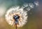 Illustration of a dandelion seeds blowing natural blurred background.