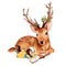 Illustration: The Deer Rider is Taking the rest at the Deer\'s Side, Reading a Book.