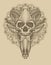 illustration demonic skull with circle mandala on the background