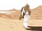 Illustration of Desert Solitude - Lone Man Walking in the Arid Silence