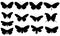 Illustration of different butterflies