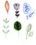 Illustration of different flowers and unusual fairy leaves