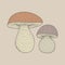 Illustration of different sized mushroom