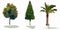Illustration of a different trees set  , vector draw