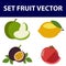 Illustration of the diffrent kinds of fruits on a white background