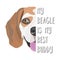 Illustration dog Beagle