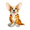 Illustration of a dog of the Corgi breed. Red-haired puppy with tongue and big ears. isolated on white background.