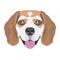 Illustration dog`s head Beagle