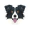 Illustration dog`s head Border Collie