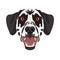 Illustration dog`s head Dalmatian