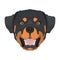 Illustration dog`s head Rottweiler