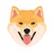 Illustration dog`s head Shiba Inu