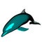illustration dolphin vector greed engraving style cartoon