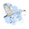 Illustration of drawing Flying flock Swans with watercolor spot effect. Hand drawn, doodle graphic design with birds.