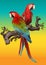 Illustration drawing of green wing macaw birds