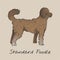 Illustration drawing style of dog standard poodle