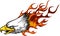 Illustration Eagle Head Flame Vector Template Design