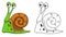Illustration of educational coloring book-snail