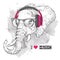 Illustration of elephant hipster dressed up in t-shirt, pants and in the glasses and headphones. Vector illustration.