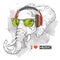 Illustration of elephant hipster dressed up in t-shirt, pants and in the glasses and headphones. Vector illustration.