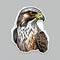 Illustration Of A Falcon Portrait, Gray Background