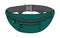 Illustration of fanny pack waist pouch / green