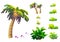 Illustration: Fantastic Tropical Beach Elements / Objects Set 1. Coconut tree, grass, mushroom, etc.