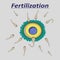 Illustration of a female egg fertilization sperm