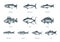 Illustration of fishes on white background. Drawn seafood set in engraving style. Sketches collection in vector.