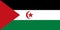 An illustration of the flag of Western Sahara with copy space