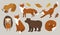 Illustration in flat style. set of various forest animals - fox, hedgehog, squirrel, bear and autumn foliage