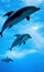 Illustration with a flock of gorgeous realistic dolphins 2