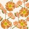 Illustration of floral seamless. Yellow, beige group and isolated poppies on a white background.