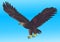 Illustration flying strong eagle