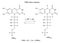 Illustration of FMN redox reaction