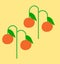 illustration of four orange oranges