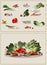 Illustration fresh vegetables. Icon.