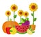 Illustration of freshly picked fruits and vegetables, berries and sunflowers flat vector set