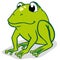 Illustration of a frog sitting. Ideal for educational