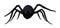 Illustration of the front view of a large black hairy spider walking forward isolated on a white background