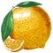 illustration fruit lemon vitamins citrus food useful