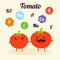 Illustration with funny character. Funny and healthy food. Vitamins contained in tomato. Food with cute face. Vector