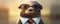 Illustration of funny mole with glasses funny suit, cartoon picture